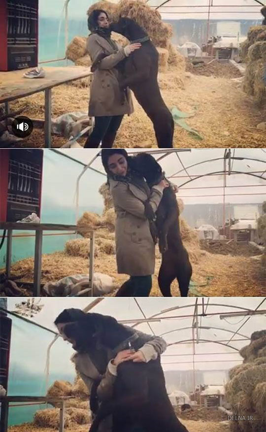 روبوسی بازیگر زن ایرانی با یک سگ