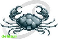 فال روزانه تیر فال روزانه تیر
