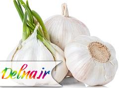 درمان میخچه با سیر